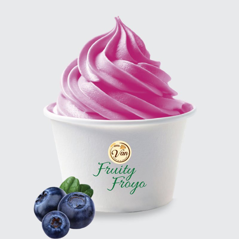 Blueberry Yogurt